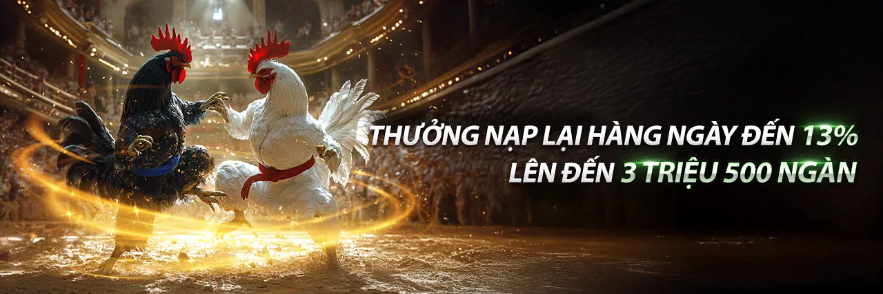 Đá gà trực tuyến kịch tính tại halo88 Nổ Hũ